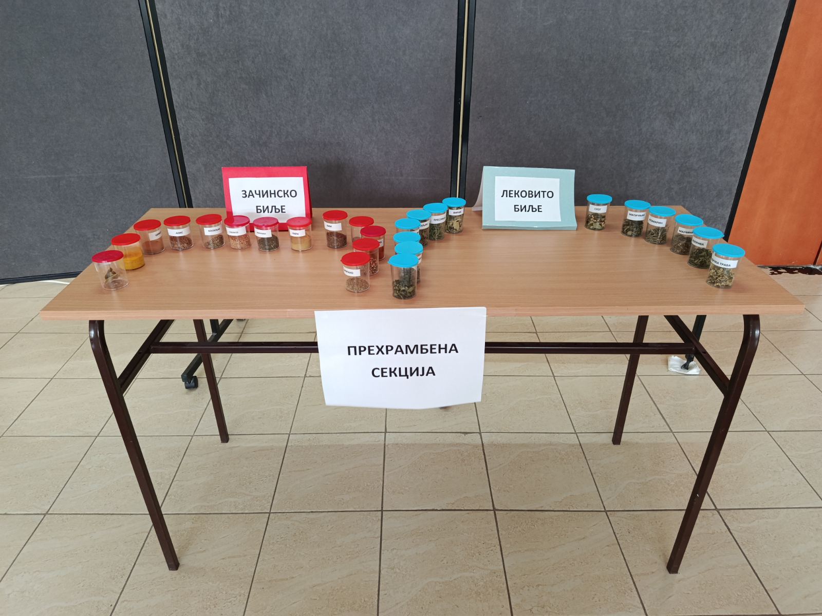 ЛЕКОВИТО И ЗАЧИНСКО БИЉЕ У ХОЛУ ШКОЛЕ